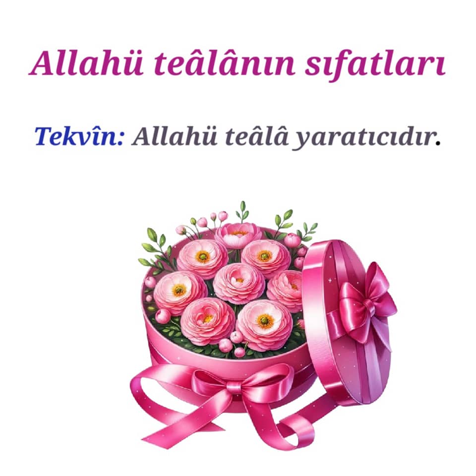 Tekvin (8)
